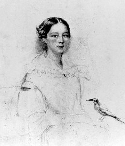 Portrét Emily Shoreové (1819-1839), 19. století (kresba) od English School