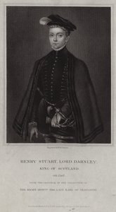 Portrét Henryho Stuarta, lorda Darnleyho od English School