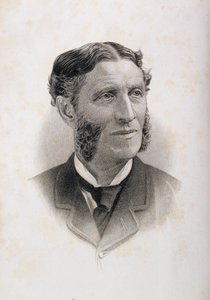 Portrét Matthewa Arnolda (1822-88), od English School