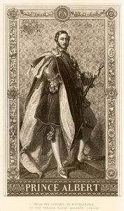 princ Albert od English School