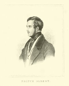 princ Albert od English School