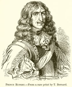 princ Rupert od English School