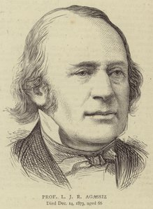 Profesor L. J. R. Agassiz (rytina) od English School
