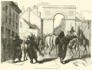 Pruská sháněcí jednotka přivážející dobytek, říjen 1870 od English School