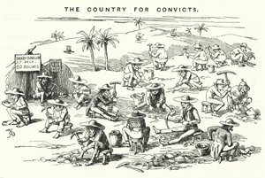 Punch cartoon: California, The Country for Convicts (rytina) od English School