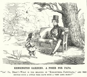 Punch cartoon: dítě se ptá svého otce na otázku v Kensington Gardens, Londýn (rytina) od English School