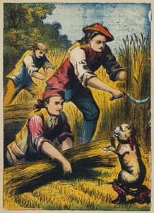 Kocour vyhrožuje žencům (barevná litografie) od English School
