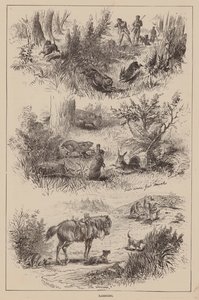 Králíkování (rytina) od English School