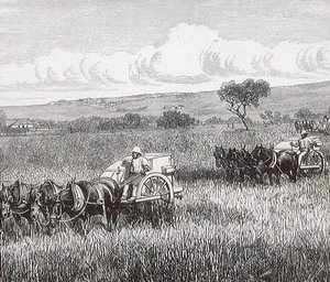 Reaping, South Adelaide, Austrálie od English School