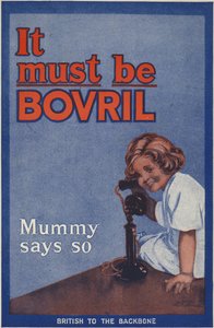 Zadní strana obálky knihy Bovril Handy a válečného deníku