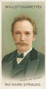 Richard Strauss od English School
