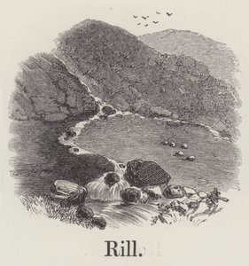 Rill (rytina) od English School