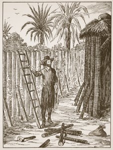 Robinson Crusoe staví svůj altán, ilustrace z Příběhu Robinsona Crusoe: Adaptace pro děti v jazyce Defoes, hospoda. od Griffith Farran Browne & Co. Limited, Londýn od English School