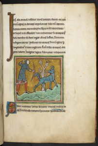 Královská 12 F.XIII, f.16   Lovec střílí šíp na zvíře.  Bestiář (ff. 3-141), Lapidárium (ff. 141v-149)  2. čtvrtina 13. století od English School