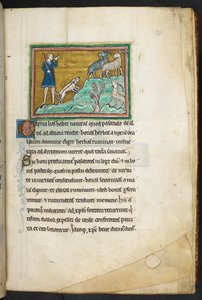 Královská 12 F.XIII, f.20 Lovec nebo farmář se psy, pronásledující kozy.  Bestiář (ff. 3-141), Lapidárium (ff. 141v-149)  2. čtvrtina 13. století od English School