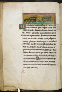Royal 12 F.XIII, f.43v Myši honí kočku, z Bestiáře (ff. 3-141), Lapidária (ff. 141v-149)  , 2. čtvrtina 13. století (vellum) od English School