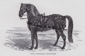 Royal Hanoverian Coach-Horse (rytina) od English School