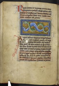 Royal MS 12 C XIX, f.63v Anguis, od 