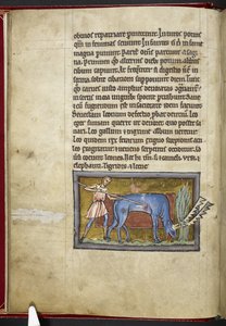 Royal MS 12 C XIX, f.7v Antilopa, od 