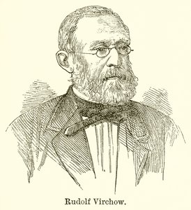 Rudolf Virchow od English School