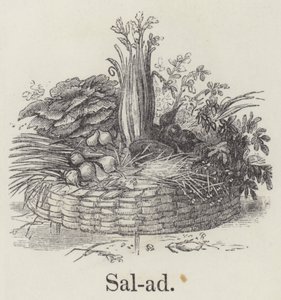 Salát (rytí) od English School