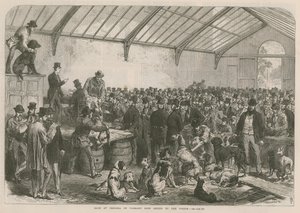 Prodej tuláků psů zabavených policií v Chelsea od English School