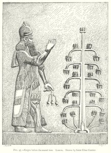 Sargon před posvátným stromem. Louvre (rytina) od English School