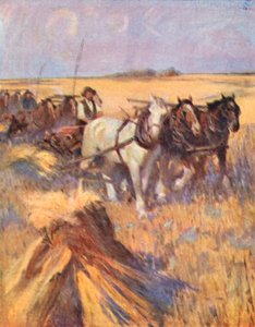 Saskatchewan, moderní Skot na vlastní vazbě (barevná litografie) od English School