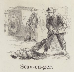 Scavenger (rytina) od English School