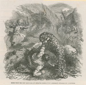 Scéna z nové podívané v Astleys - Morok (Van Amburgh) napaden panterem od English School