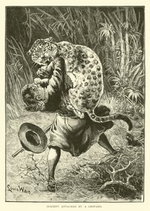 Schmitt napaden leopardem od English School