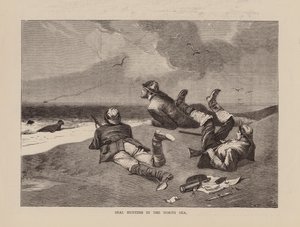 Robbenjagd in der Nordsee