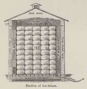 Sekce ledovny (litho) od English School