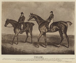Selim (litografie) od English School