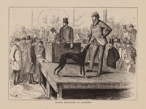 Prodej chrtů u Aldridge (rytina) od English School