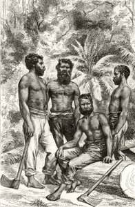 Polocivilizovaní viktoriánští domorodci, z knihy Howarda Willoughbyho "Australian Pictures", vydané Religious Tract Society, Londýn, 1886. od English School