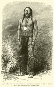 Shawanoh, náčelník Ute, který byl poslán do Washingtonu v roce 1863, aby se bavil s vládou Spojených států od English School