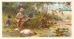 Střelba na Blackbuck v Indii (chromolitho) od English School