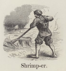 Shrimper (rytina) od English School