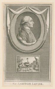 Sir Ashton Lever od English School