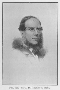 Sir Joseph Dalton Hooker (1817-1911), portrét (litho) od English School