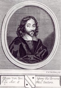 Sir Thomas Browne (1605-82), vyryl Frederick Hendrick van Hove (c.1628-98) od English School
