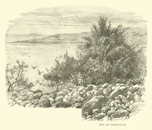 Místo Kafarnaum od English School