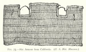 Slat Armor z Kalifornie (litho) od English School