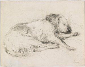 Sleeping Dog, cca 1840 (grafit na papíře) od English School