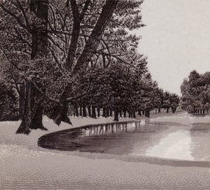Sophia Gardens, Cardiff (litho) od English School
