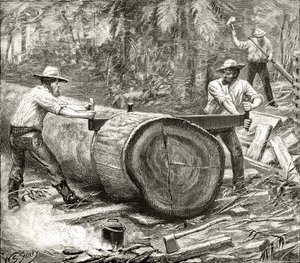 Splitters in the Bush, cca 1880, z 