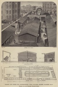 Stáje a obchody pro Costermongers, poblíž Columbia Market, Hackney Road, postavené pro baronku Burdett-Coutts (rytina) od English School