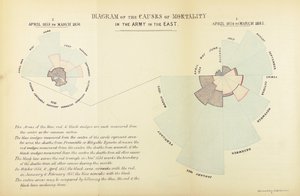 Statistický graf vynalezený Florence Nightingalovou, aby ukázal převahu nemocí jako příčiny úmrtnosti v britské armádě během krymské války, od dubna 1854 do března 1855 a od dubna 1855 do Ma. od English School