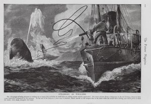 Parník používaný jako velrybářská loď (rytina) od English School